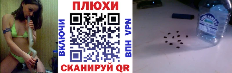 блэк спрут ссылки  Кудрово  Гашиш гарик 