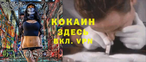 хмурый Алексеевка