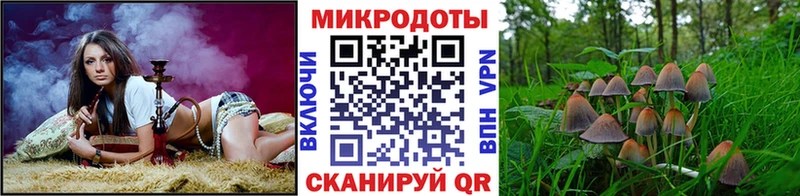 Псилоцибиновые грибы прущие грибы  Кудрово 