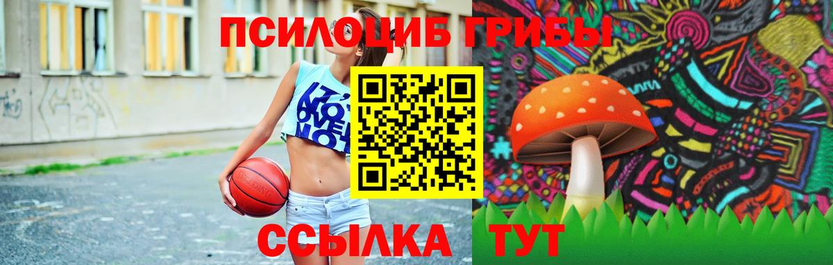 Галлюциногенные грибы Cubensis  Вход с VPN  Кудрово 